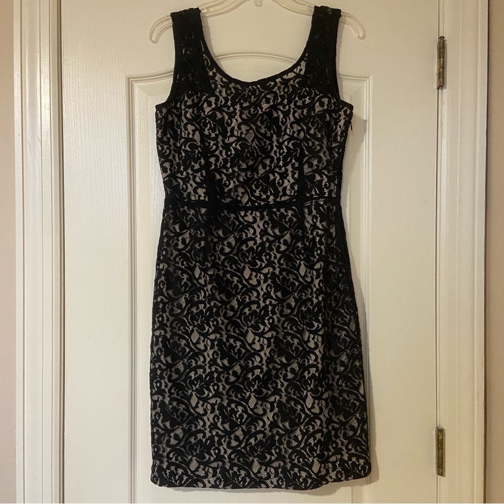 The Limited Black and Cream Lace Mini Dress